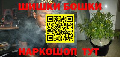 прущие грибы Будённовск