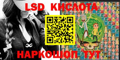прущие грибы Будённовск