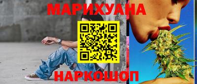 прущие грибы Будённовск