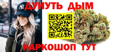 прущие грибы Будённовск
