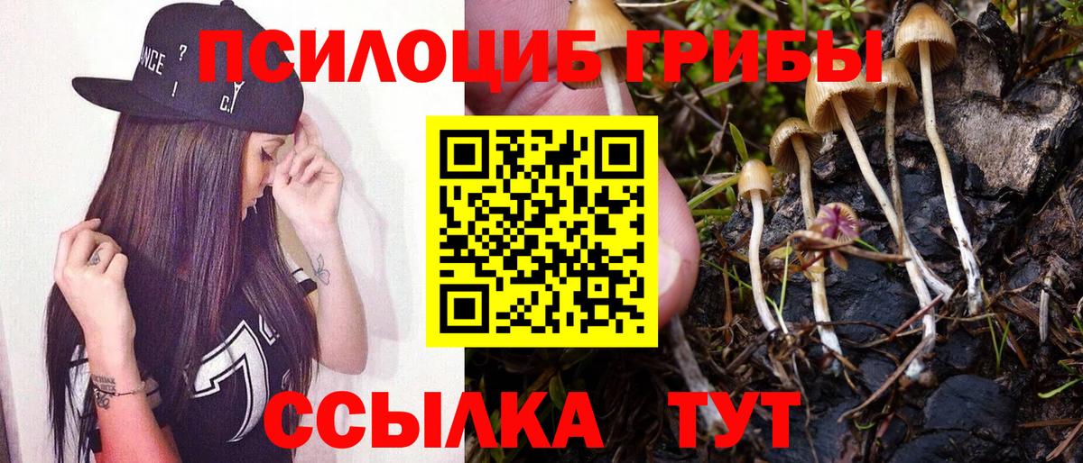 Новоалександровск  Галлюциногенные грибы MAGIC MUSHROOMS  Вход с VPN 