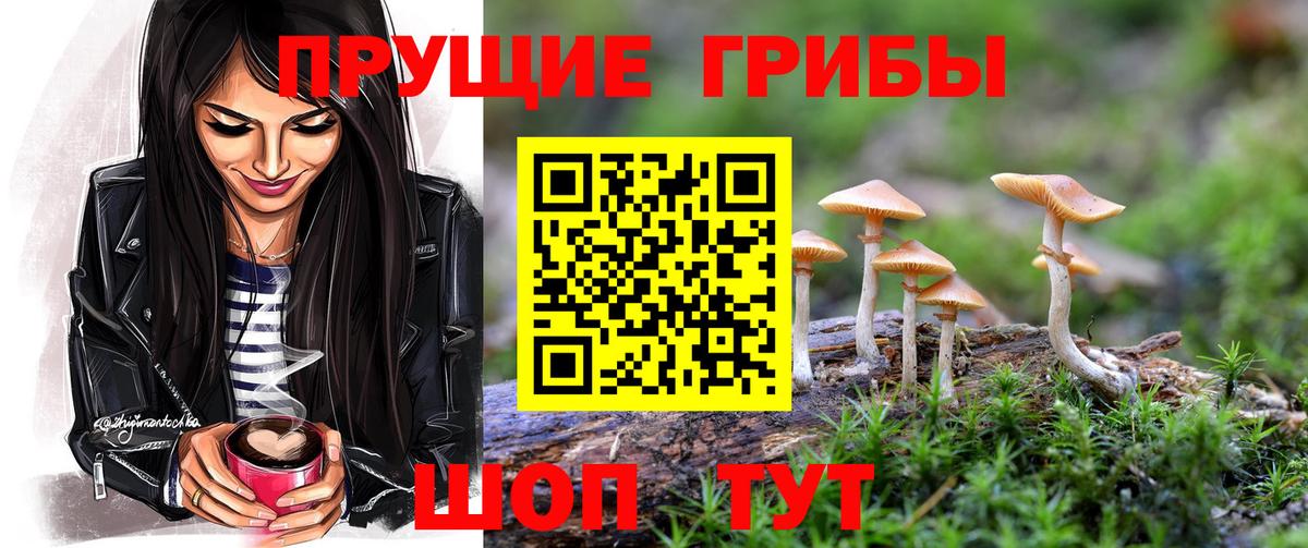 Псилоцибиновые грибы MAGIC MUSHROOMS Новоалександровск