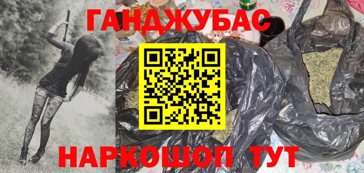 Каннабис сатива Новоалександровск
